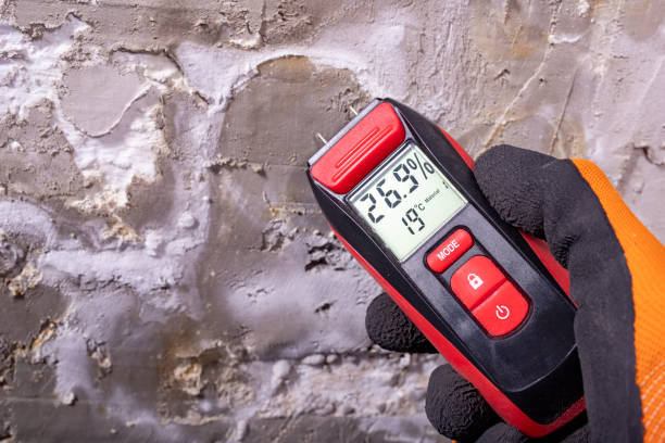 Best Professional Mold Removal  in Amery, WI