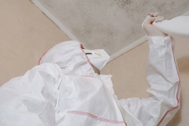 Best Mold Testing  in Amery, WI