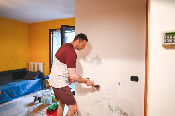 Best Mold Testing  in Amery, WI